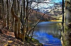 immagine Lungo la riva del lago Baccio
