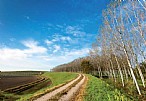 immagine Parco Fluviale del Secchia