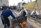 immagine Fiera di San Martino a Bomporto