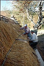 immagine Capanna celtica