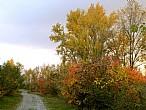 immagine Percorso Natura Secchia