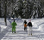 immagine Centro Fondo Boscoreale - Piandelagotti