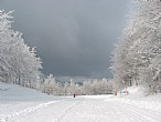 immagine Centro Fondo Boscoreale - Piandelagotti