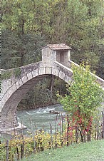 immagine Ponte di Olina