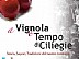 È tempo di ciliegie